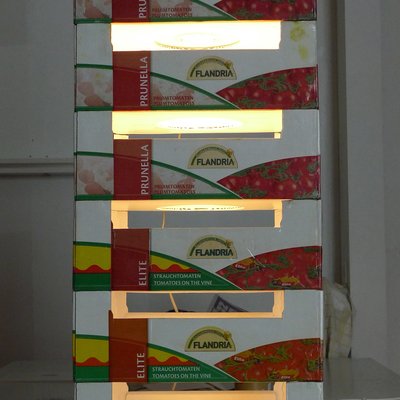 Tomato Box Lantern